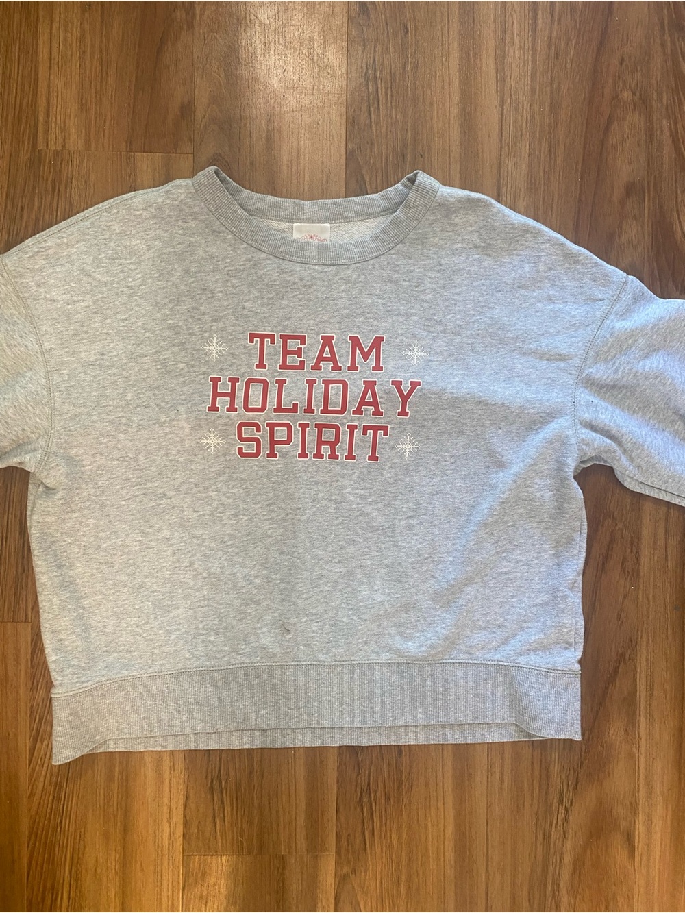 Wondershop Gray Crewneck Sweatshirt with Red "Team Holiday Spirit" Graphic